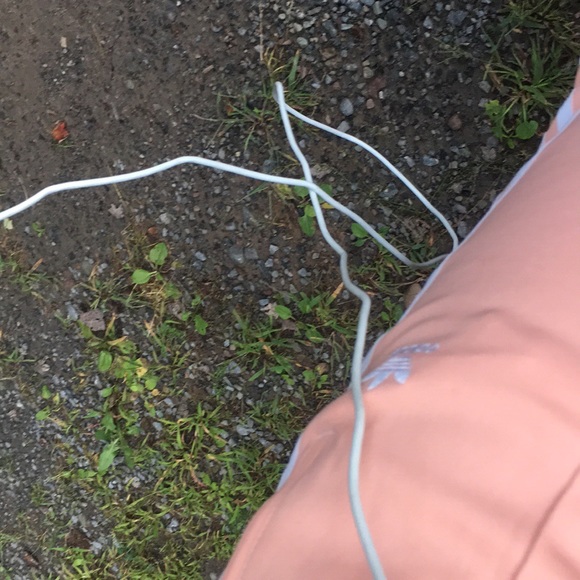 Meet your Posher, Harley - Picture 1 of 1